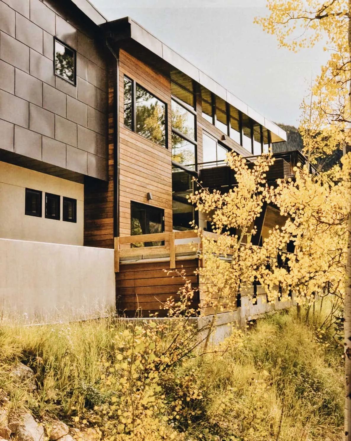 Modern mountain home with wood and concrete siding behind golden aspen trees