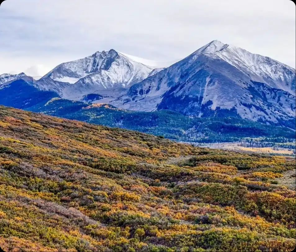 Snow-dusted peaks above autumn scrub oak in the Roaring Fork Valley