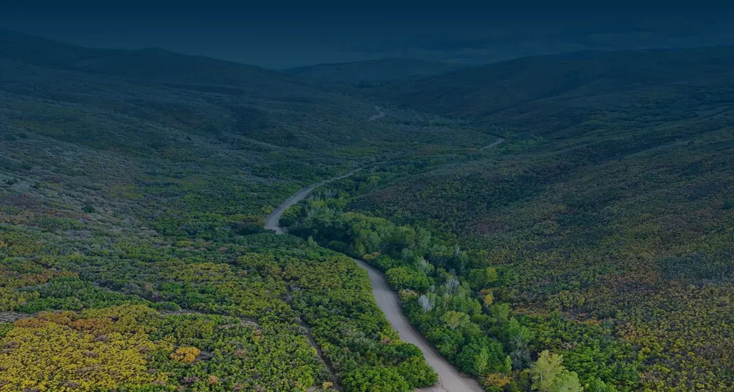 Aerial view of forested hills in the Roaring Fork Valley